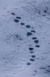 sval24lug25_0529_small.jpg