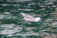 sval26lug25_0632_small.jpg