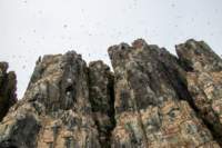 sval26lug25_0667_small.jpg