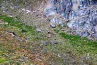 sval26lug25_0675_small.jpg