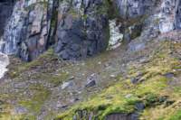 sval26lug25_0680_small.jpg