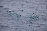 sval26lug25_0720_small.jpg