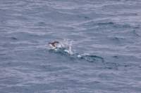 sval26lug25_0724_small.jpg