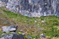 sval26lug25_0672_small.jpg