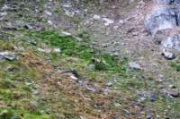 sval26lug25_0676_small.jpg
