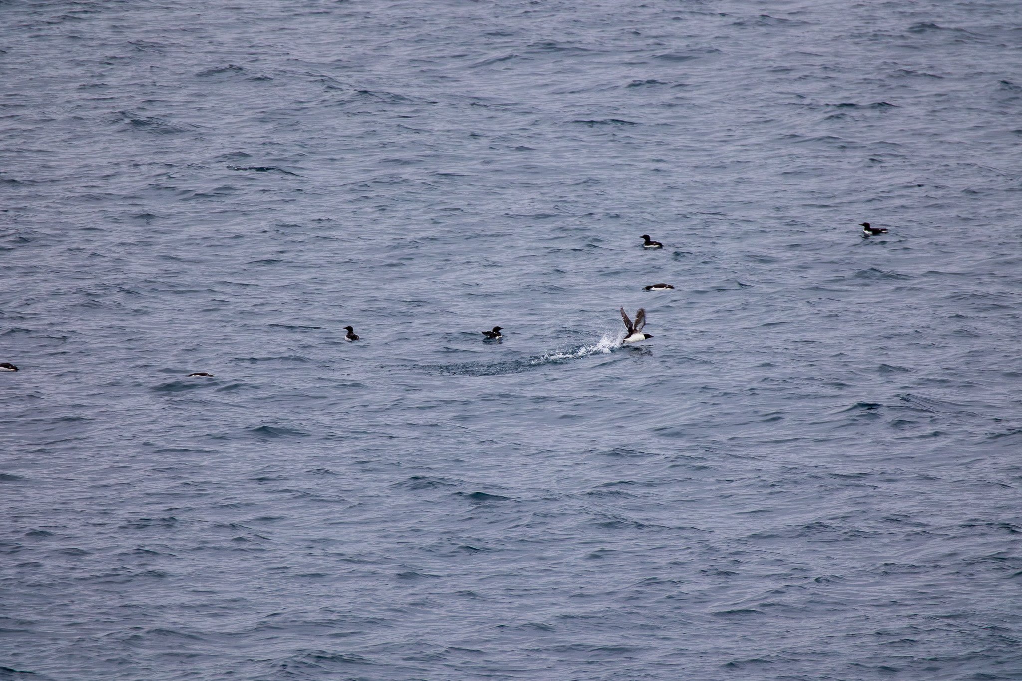 sval26lug25_0718.jpg