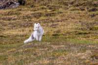 sval27lug25_0755_small.jpg