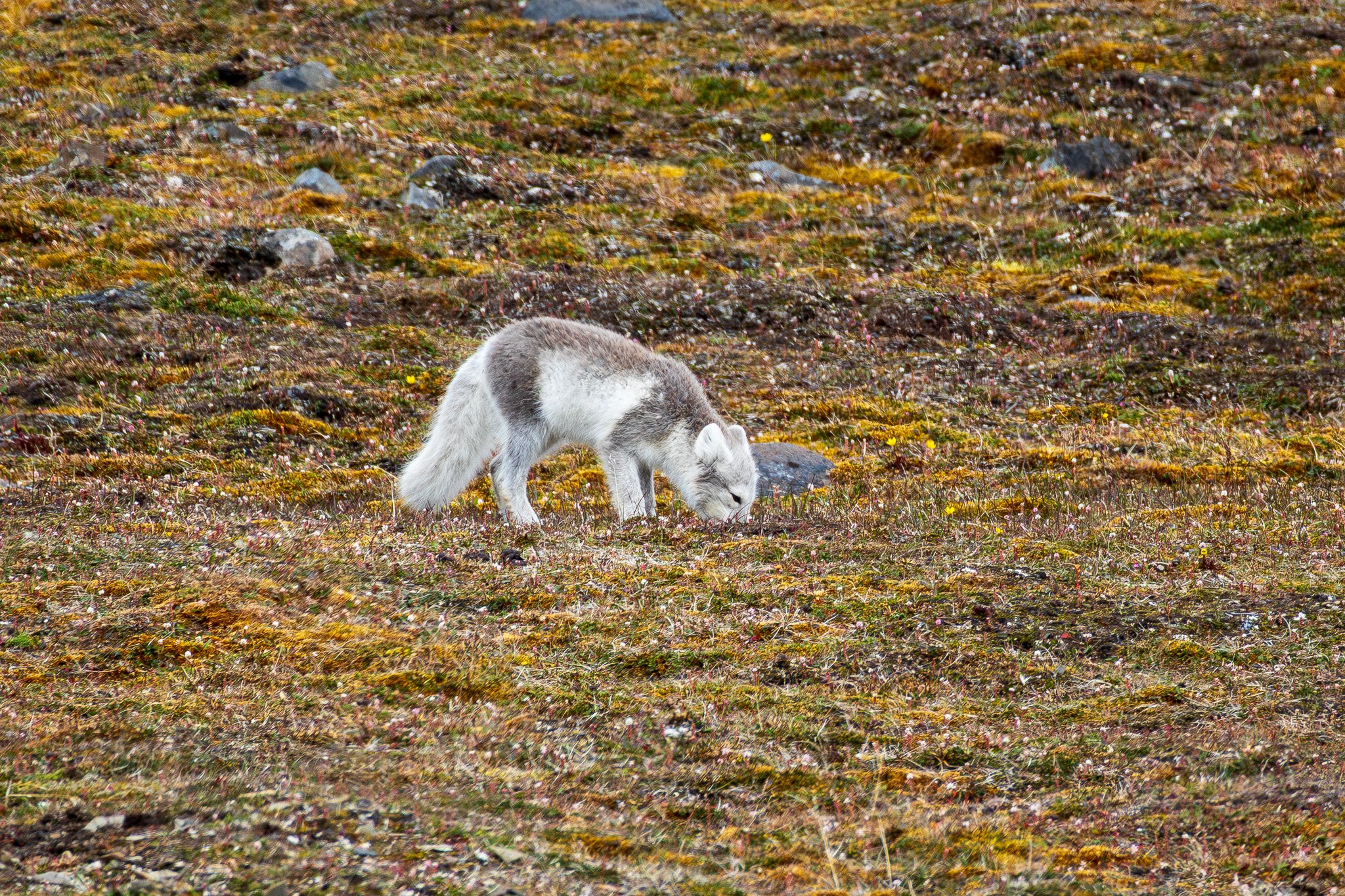 sval27lug25_0763.jpg