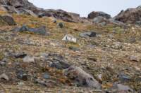 sval27lug25_0767_small.jpg