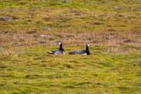 sval27lug25_0805_small.jpg