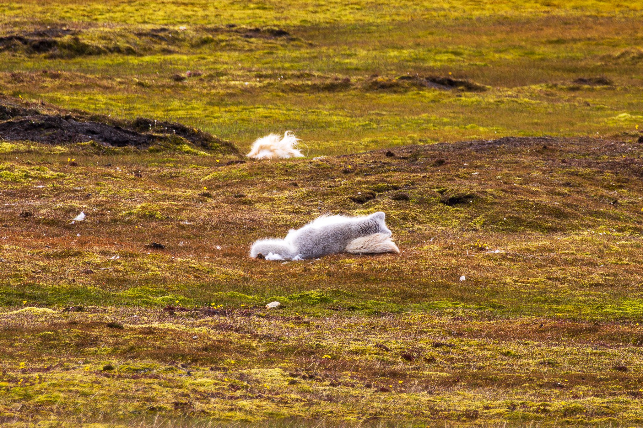 sval27lug25_0846.jpg