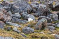 sval27lug25_0878_small.jpg