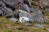 sval27lug25_0879_small.jpg
