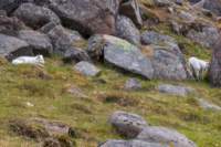 sval27lug25_0881_small.jpg