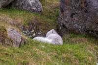 sval27lug25_0886_small.jpg