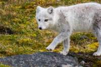 sval27lug25_0901_small.jpg