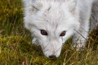 sval27lug25_0928_small.jpg
