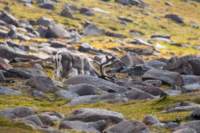 sval27lug25_0965_small.jpg