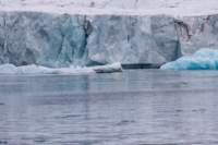 sval28lug25_1117_small.jpg