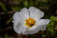 sbt144_small.jpg