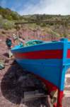 sbt291_small.jpg