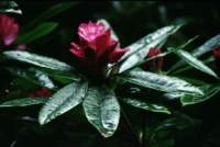 img_074g_small.jpg