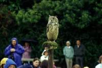img_114g_small.jpg