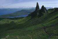 img_173g_small.jpg