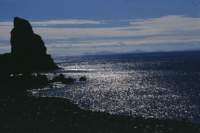 img_216g_small.jpg