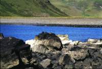 img_218g_small.jpg