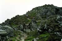 img_266a_small.jpg