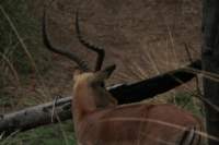 img_1898_small.jpg