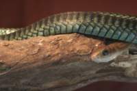 img_2914_small.jpg