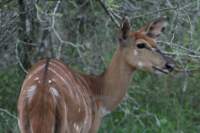 img_3239_small.jpg