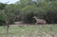 img_3251_small.jpg
