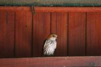 img_3407_small.jpg