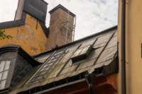 svenor015_small.jpg