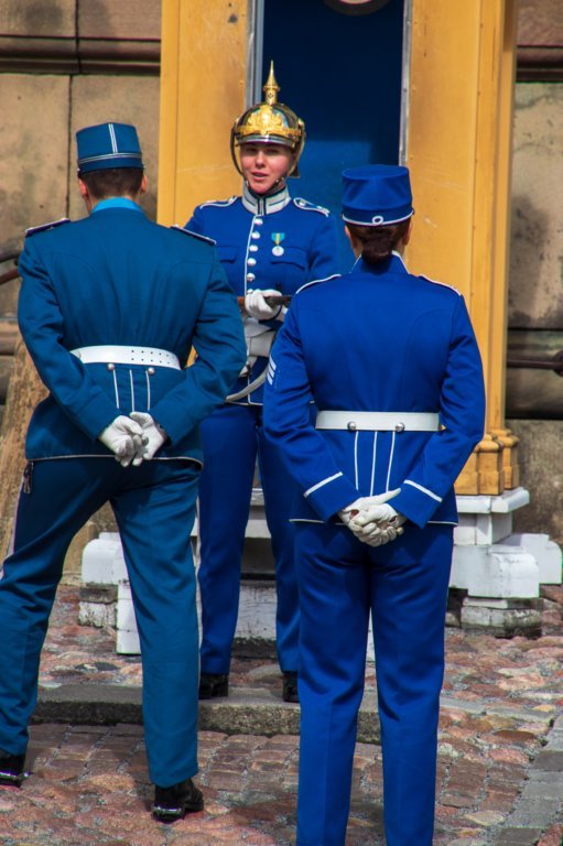 svenor029.jpg