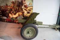 svenor204_small.jpg