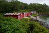 svenor215_small.jpg