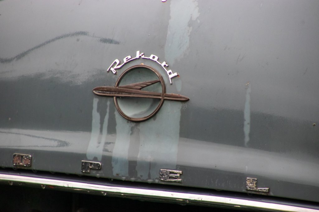 svenor220.jpg