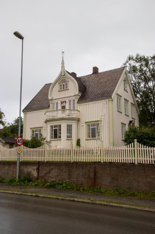 svenor222.jpg
