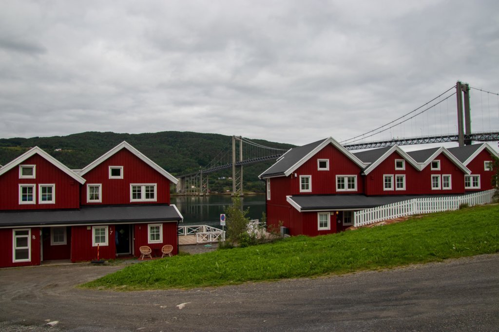 svenor307.jpg