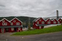 svenor307_small.jpg