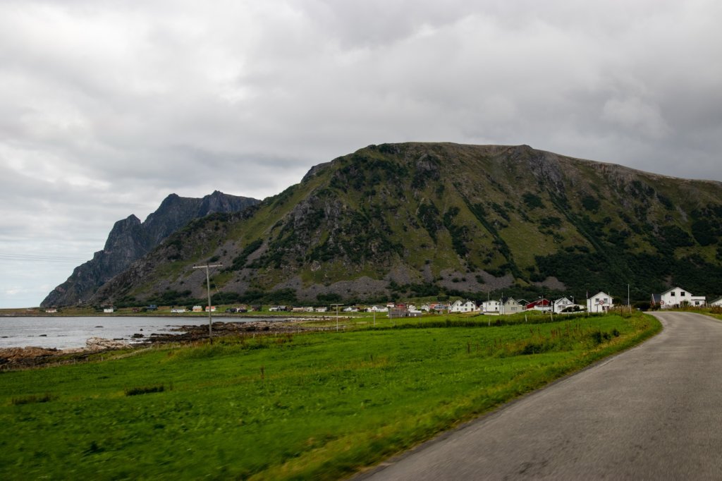 svenor318.jpg