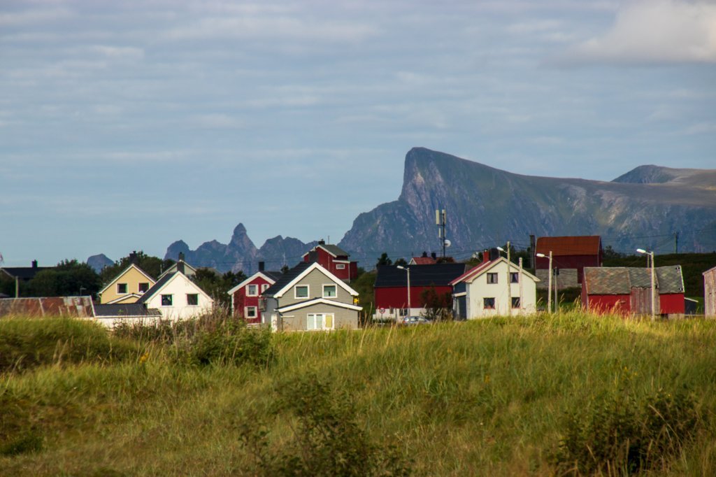 svenor341.jpg