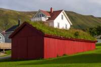 svenor349_small.jpg