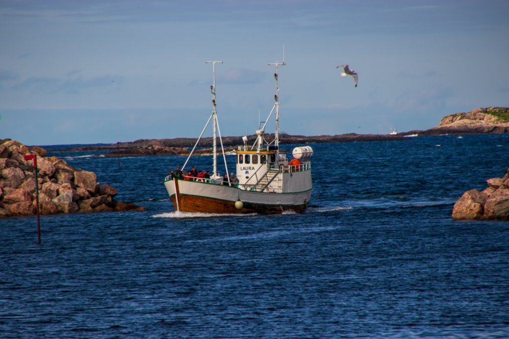 svenor351.jpg