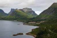 svenor429_small.jpg