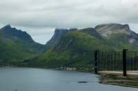 svenor434_small.jpg